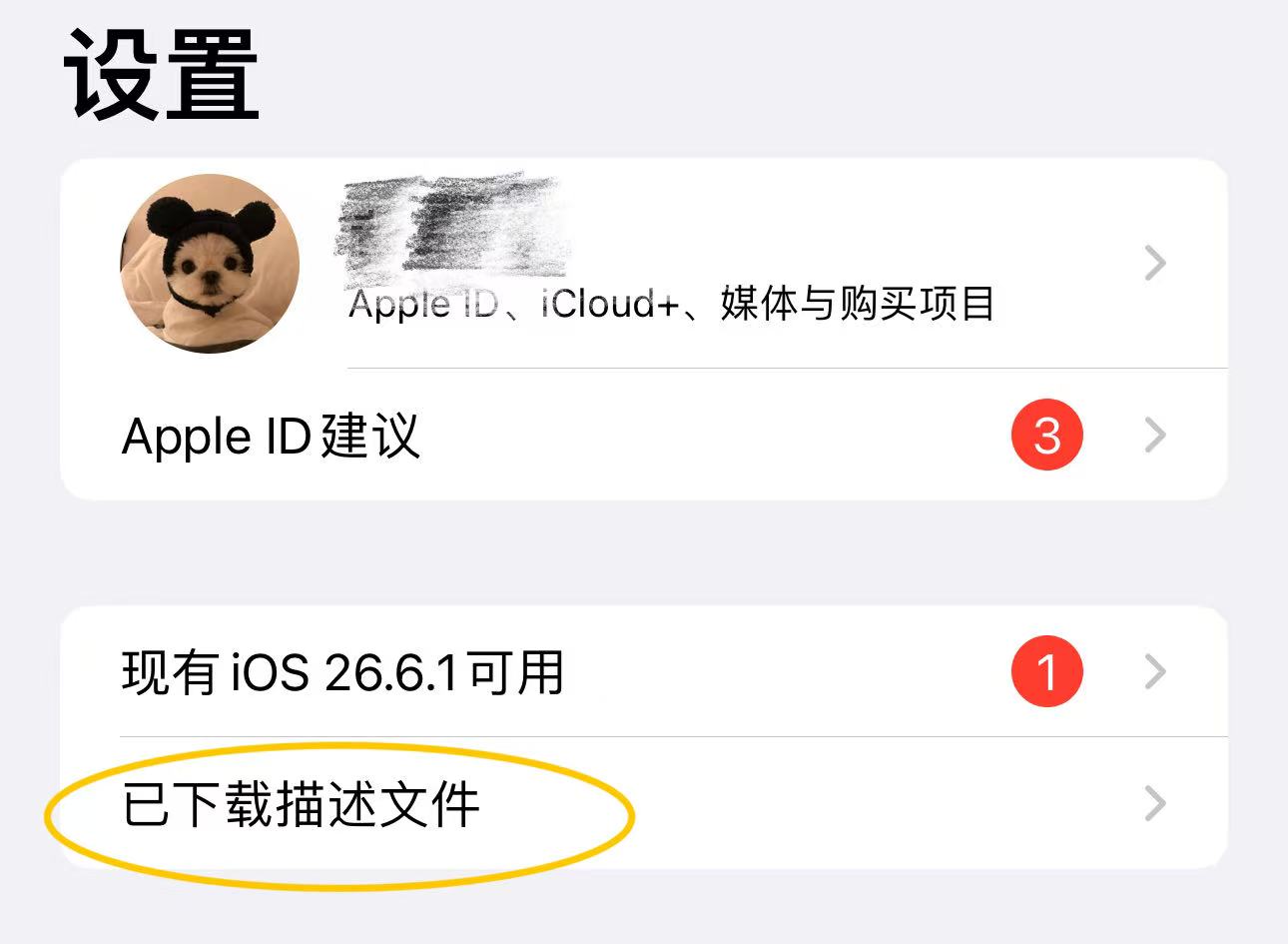 在设置中点击已下载描述文件